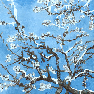 大鸡巴猛插少妇流白浆视频
