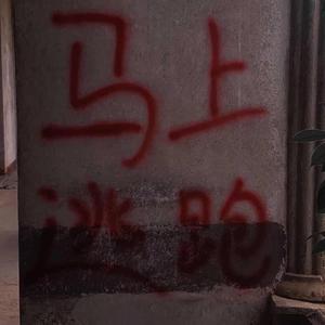 大鸡巴猛插少妇流白浆视频
