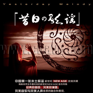 大鸡巴猛插少妇流白浆视频
