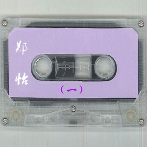 大鸡巴猛插少妇流白浆视频
