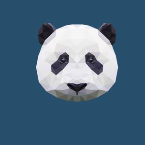 大鸡巴猛插少妇流白浆视频
