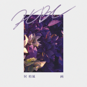 大鸡巴猛插少妇流白浆视频
