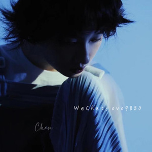 大鸡巴猛插少妇流白浆视频
