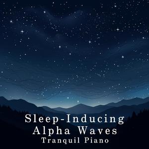 大鸡巴猛插少妇流白浆视频
