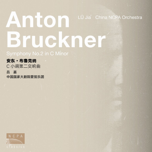 大鸡巴猛插少妇流白浆视频
